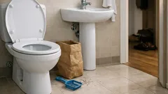 Môžem splachovať mačacie stelivo do WC? Praktický návod, aby ste neupchali potrubie